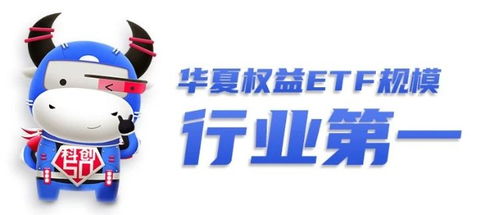 華夏基金 短期估值高低并非核心矛盾,成長(zhǎng)空間才是科創(chuàng)板投資關(guān)鍵